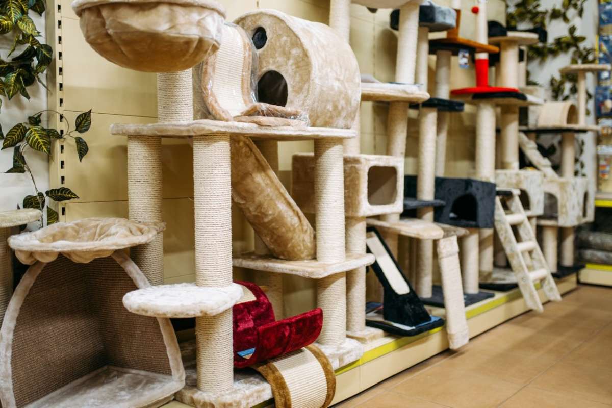 Pet store shelves stocked with cat and dog accessories